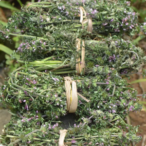 深山益母草农家无硫晒干红花整棵中药材可泡茶泡脚新鲜货益母草茶