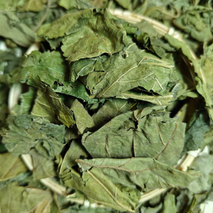 桑叶中药材野生桑树叶霜桑叶秦岭老树桑叶泡茶干桑叶500g