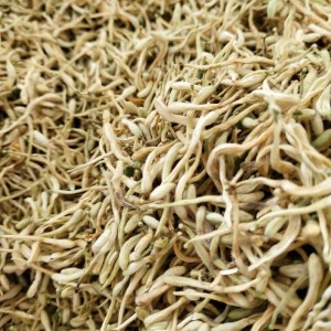 求购山东平邑特级金银花（绿原酸≥3.5%）